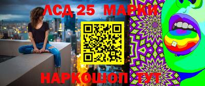 твердый Новозыбков